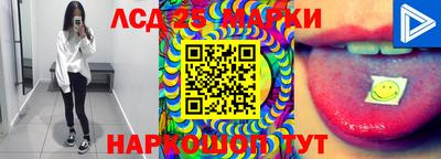прущие грибы Кандалакша