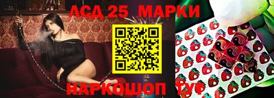прущие грибы Кандалакша