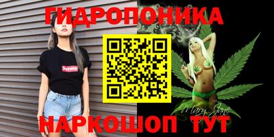 apvp Камышлов