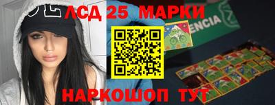 прущие грибы Кандалакша