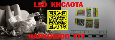 прущие грибы Кандалакша