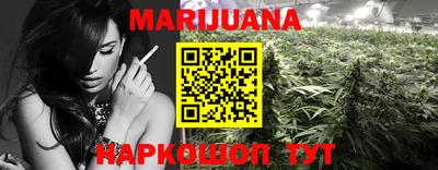 прущие грибы Кандалакша