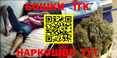 прущие грибы Кандалакша