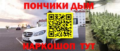 прущие грибы Кандалакша