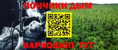 apvp Камышлов