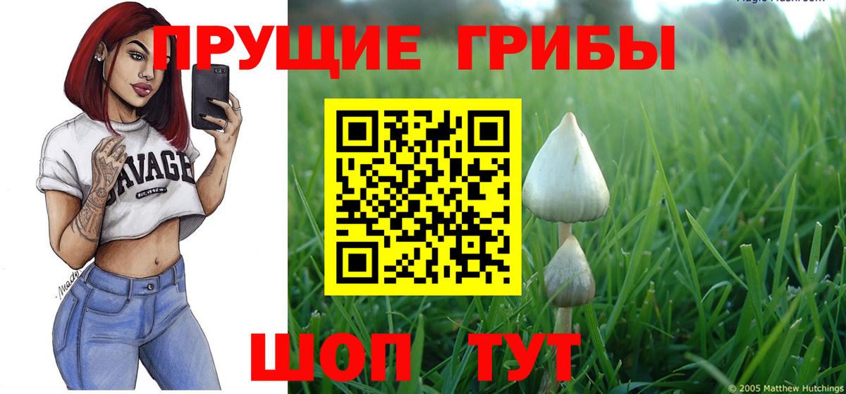 Псилоцибиновые грибы GOLDEN TEACHER  Галлюциногенные грибы Cubensis  хочу   Вход с VPN  Кудымкар 